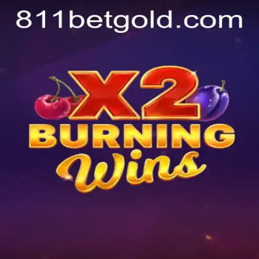 BurningWinsX2: An Exciting New Adventure for Gamers